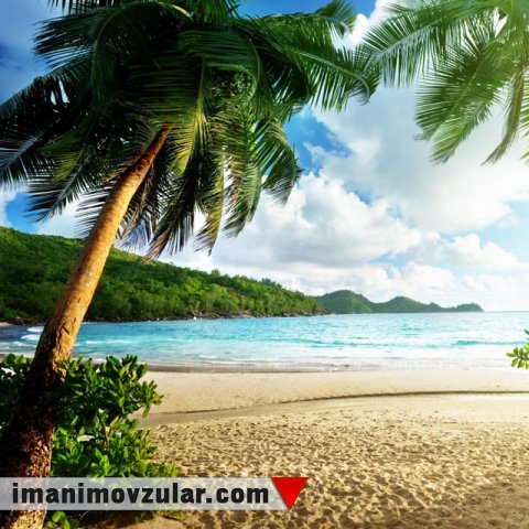 Allah daima ürəyimizdə cənnət həsrəti yaradır