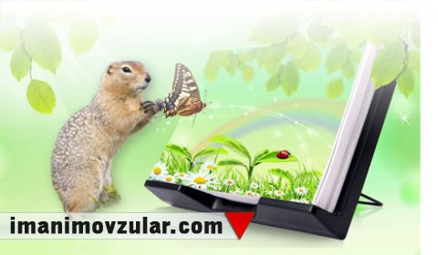 Amerika sünbülqıranlarının qış yuxusu tibb dünyasına ilham mənbəyidir