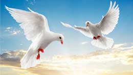 Demokratiyanın əsl mənbəyi Allahın elçiləri olan peyğəmbərlərdir