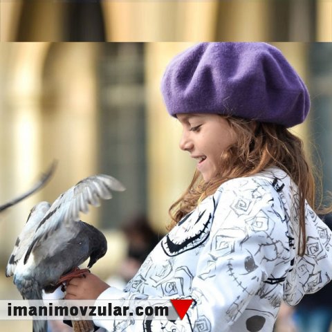 Əsrlər boyu Peyğəmbərimizə (səv) artan heyranlıq