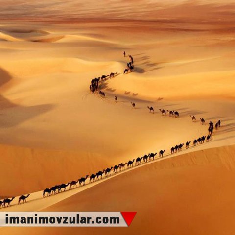 Peyğəmbərimizin (s.ə.v) igid dostları: Əshabi-kiram