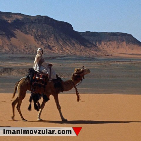 Peyğəmbərimizin (səv) möminlərə sevgini tövsiyə etdiyi sözləri