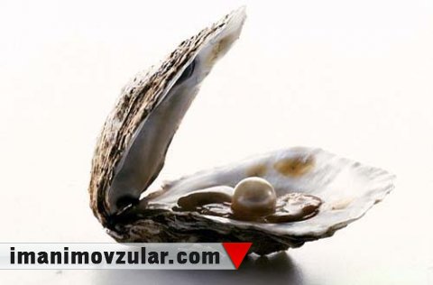 Zirehli müdafiə üçün təqlid edilən stridiya